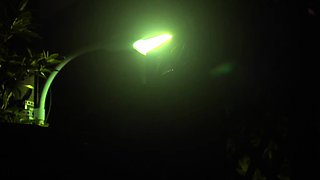 Dirty Grandpa With Shy Asian Wife