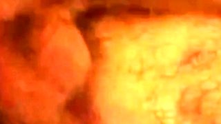 Bareback Fun: Cum, Lick, Repeat