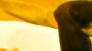 The Lesbians Suck Each Other