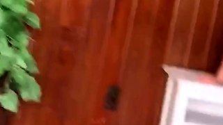 Teen Cute Italian Brunette Solo At