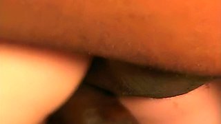 Horny vixen  Molly Rome  vintage gangbang sex crazy video