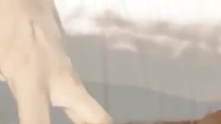 Wife Gets Sensual Massage Fun with Massage Palor Infront of Me - Cuckold Massage - Part 01