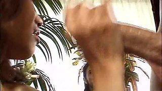 Screw My Wife Club Screwed Wife