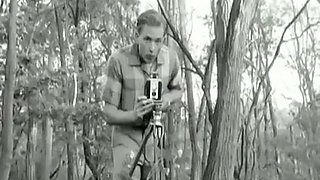 Celeb Clips