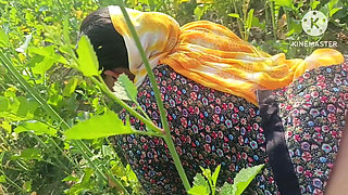 Village Desi Bhabhi Fucked in Mustard Field in Doggy Style. Outdoor Sex Desi Bhabhi with Dewar