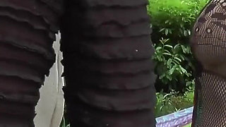 The Older Women Are Masturbating Each Other and Pleasuring Themselves with Dildos in the Garden.