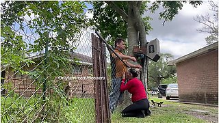 Mi Neighbor Claiming Damage For My Dog, A Fixes Everything - Diosa Era