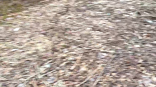 Pee Sexy on the Forest so Cool