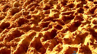 Public amateur fucked outdoors before cumshot