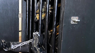 Ava Fetish Art Puts Perv in the Box and Facefucks Him