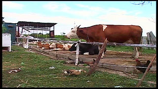 Vintage Blonde MILF Ravished in Barn and Outdoors