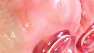 Rivals Project: the Following