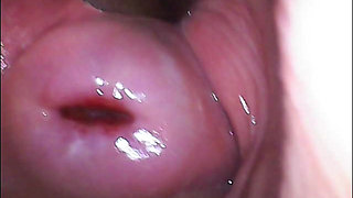 Extreme Close-up Pussy Cam