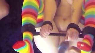 The Strip Pirate Penguins Stakes Are High