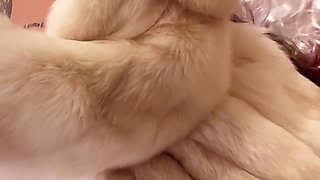 10. Advent Calendar 2025