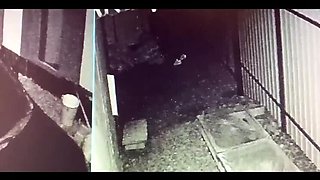 Security Guard Catches Redhead Thief Stealing and Punishes Her Pussy with Street Sex