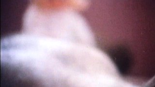 Big Vintage Town hardcore film history vintage pornstar