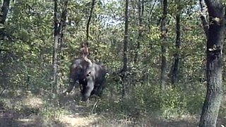 Amateur blondes pov blowjob and hardcore fun with lucky dude