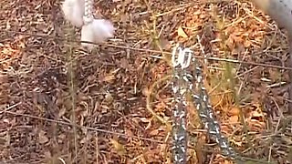 This Nubian Slut Got Tied up and Spanked in Woods