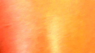 Lizzy Lust up the Skirt Stepper