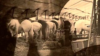Hairy Victorian Lady Fucks Gentleman - Retro Vintage Porn with Natural Tits