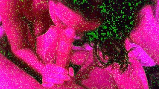 Amateur girlfriend handjob and blowjob with facial