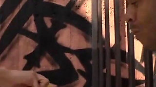 Bitches get fucked by black breeder