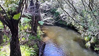 Public Flashing With Lovense Lush