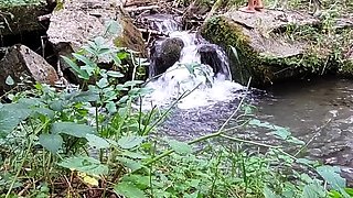 Reality european amateur sucks cock for cash outdoors