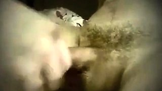 The Parapornographic Laboratory: Close-up Femdom Action