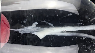 The Shape of Water, Semen in its natural habitat.