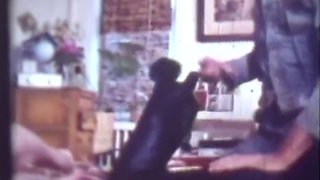 Tasty And Seductive Clitoris