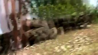 German Amateur Outdoor Creampie