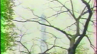 Investigation of Vice (1977)