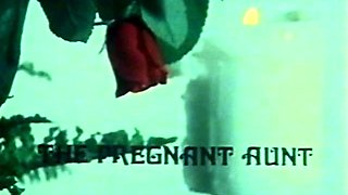 The Pregnant Aunt Diplomat Video