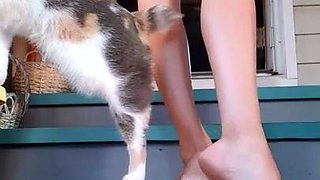 Solo masturbation and the foot fetish