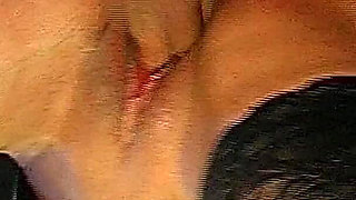 John Thompson: Swallow Part 2