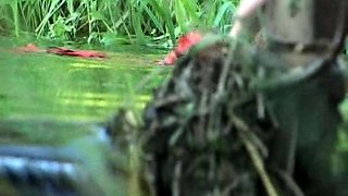 Fetish brunette lesbian love licking pussy hard in hd