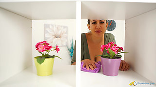 Top Shelf Titties - JOI