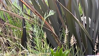 I Cheated On My Girlfriend With A 18 Year Old Emo Goth Latina With Tattoos And Came Inside Her - Verified Amateurs