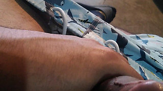 Would You Like More Videos Like This in 4K