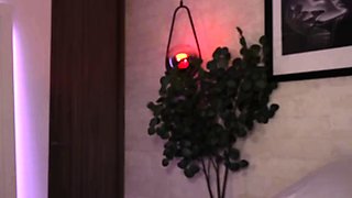 Close up teen foot worship