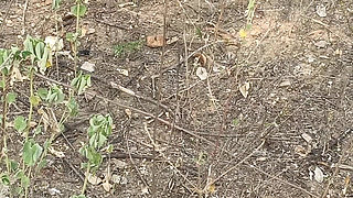 Fantastic Outdoor Sex