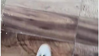 Fucking My Stepsister While She Is On The Phone With Her Husbands Cuckold!!