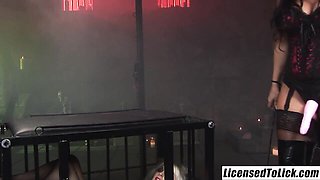 Kerry and Farrah's dominate trailer