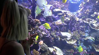 ATK Girlfriends-Hawaii Car Trip With My Horny GF