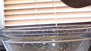 Pissing Compilation. Golden Rain. Femdom Piss. Shaving Pussy. Ep 10315