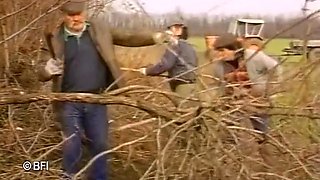 Farmers Appetite 1