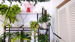 Destination Kats Funny Indoor Plant Haul