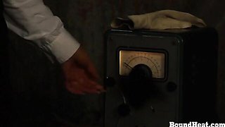 Sensuous bird at boundheat movie